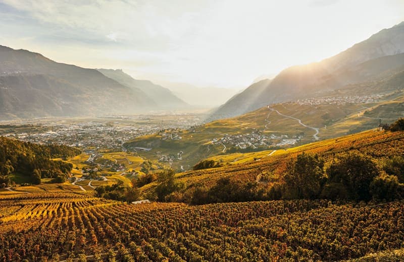 Unterwallis mit Sion, Weinbergen und Walliser Traditionen